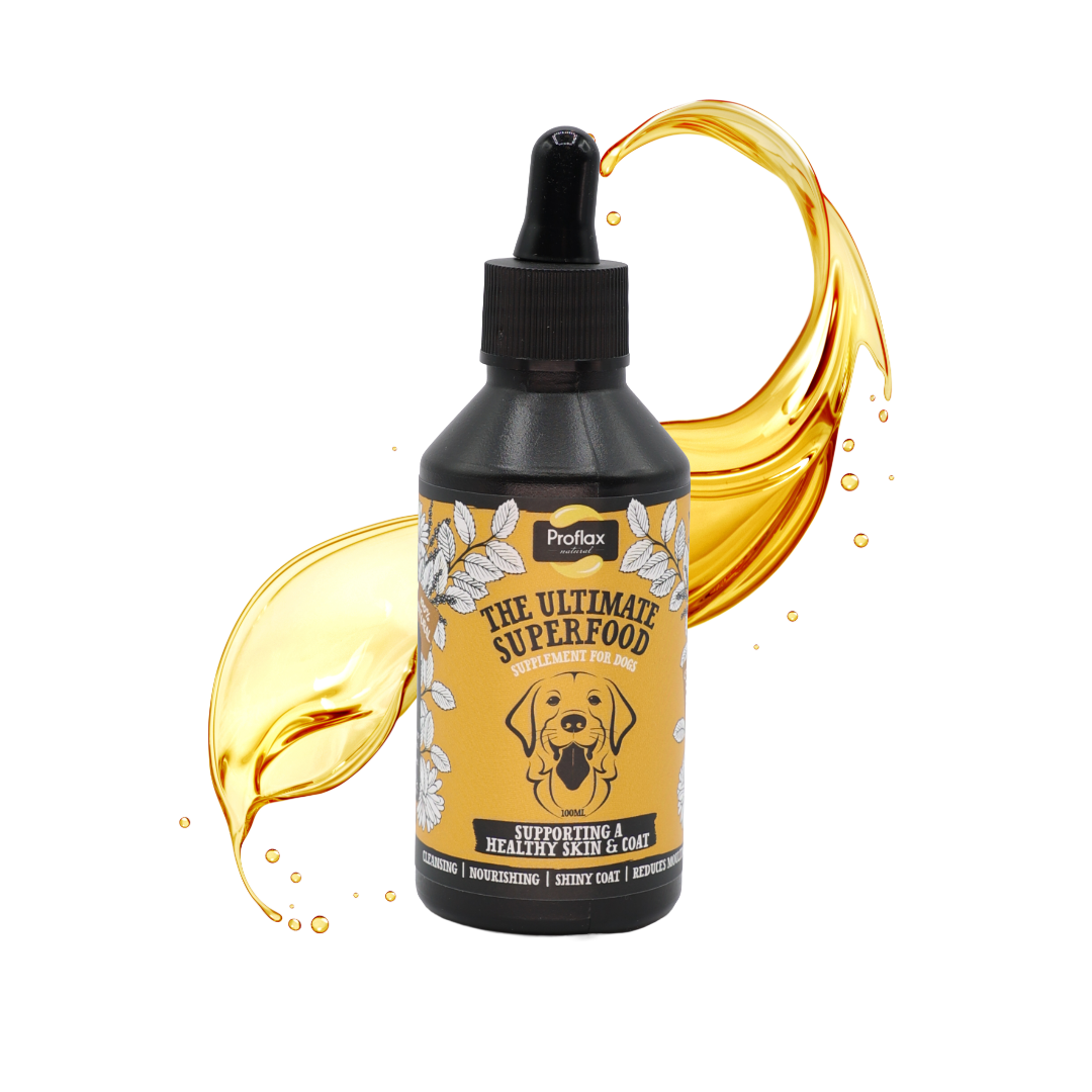 Skin & Coat Support for Dogs