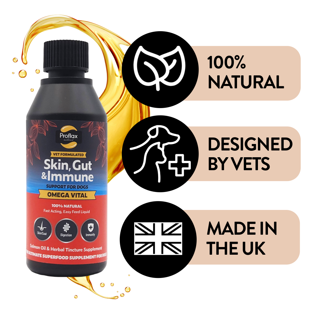 Salmon Oil for Skin & Gut Health - Omega Vital