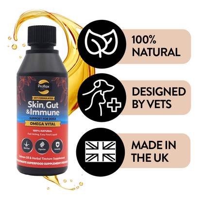 Salmon Oil for Skin & Gut Health - Omega Vital