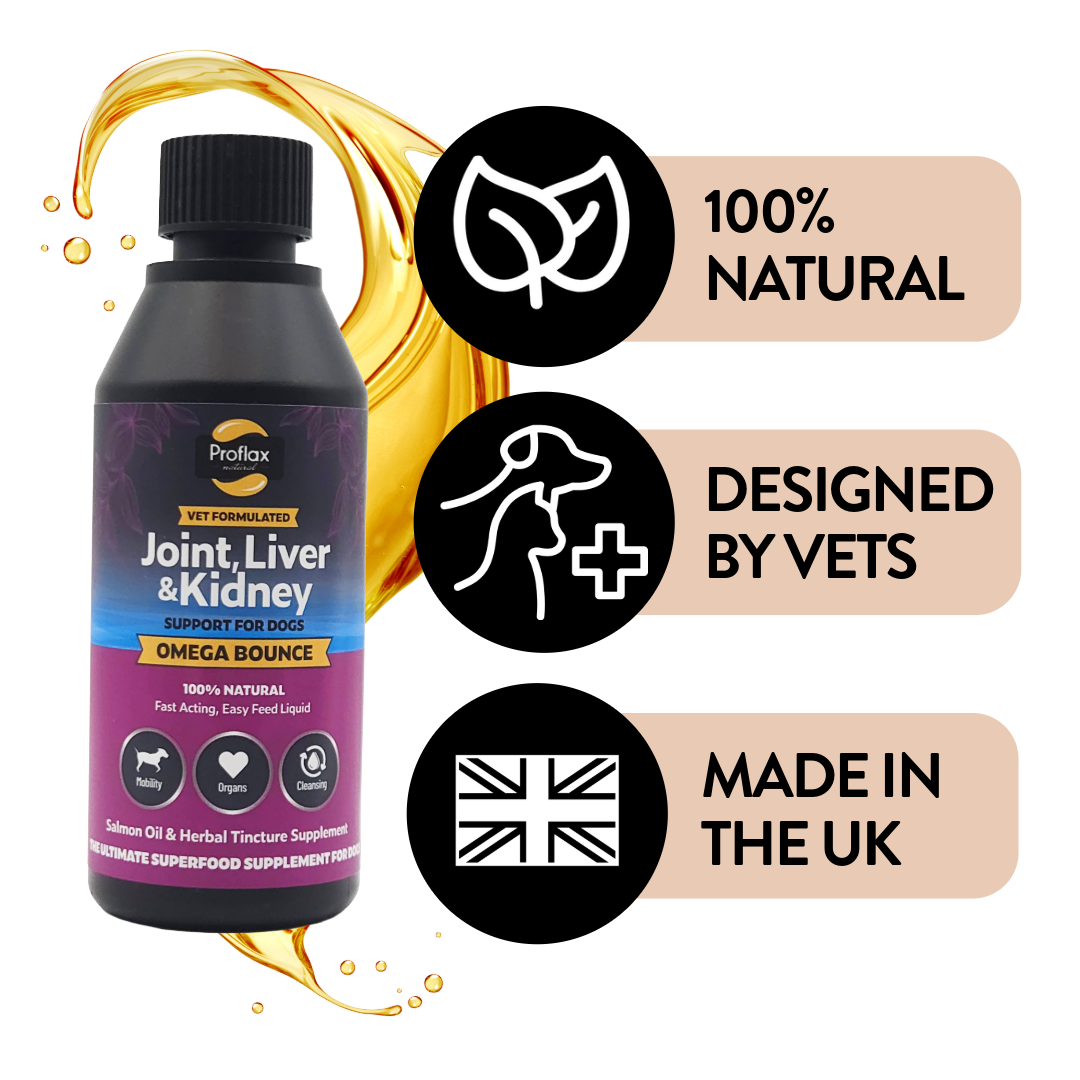 Salmon Oil for Joint & Mobility Support - Omega Bounce