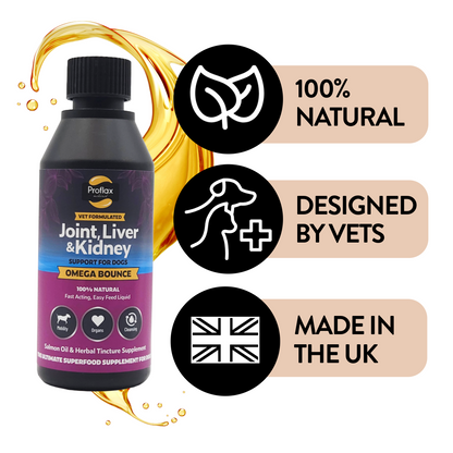 Salmon Oil for Joint & Mobility Support - Omega Bounce