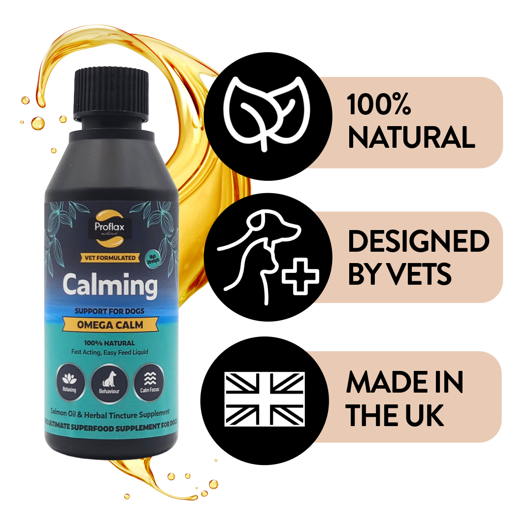 Calming Salmon Oil for Highly Anxious Dogs - Omega Calm