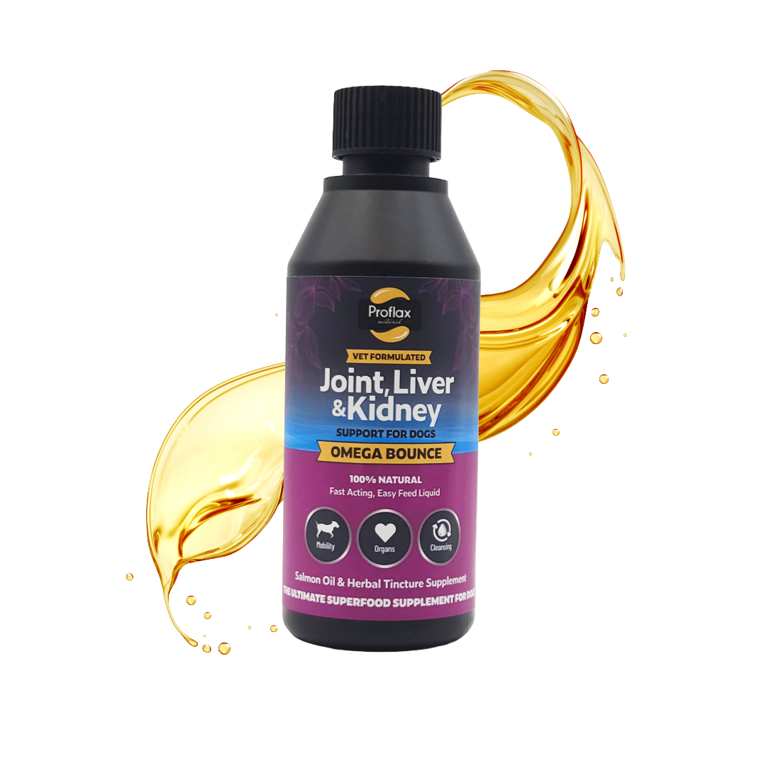 Salmon Oil for Joint & Mobility Support - Omega Bounce