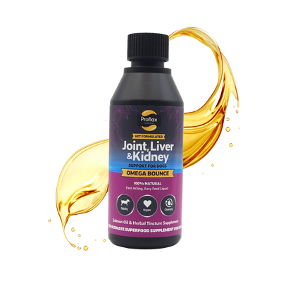 Salmon Oil for Joint & Mobility Support - Omega Bounce