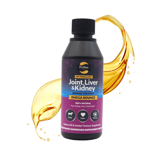 Salmon Oil for Joint & Mobility Support - Omega Bounce