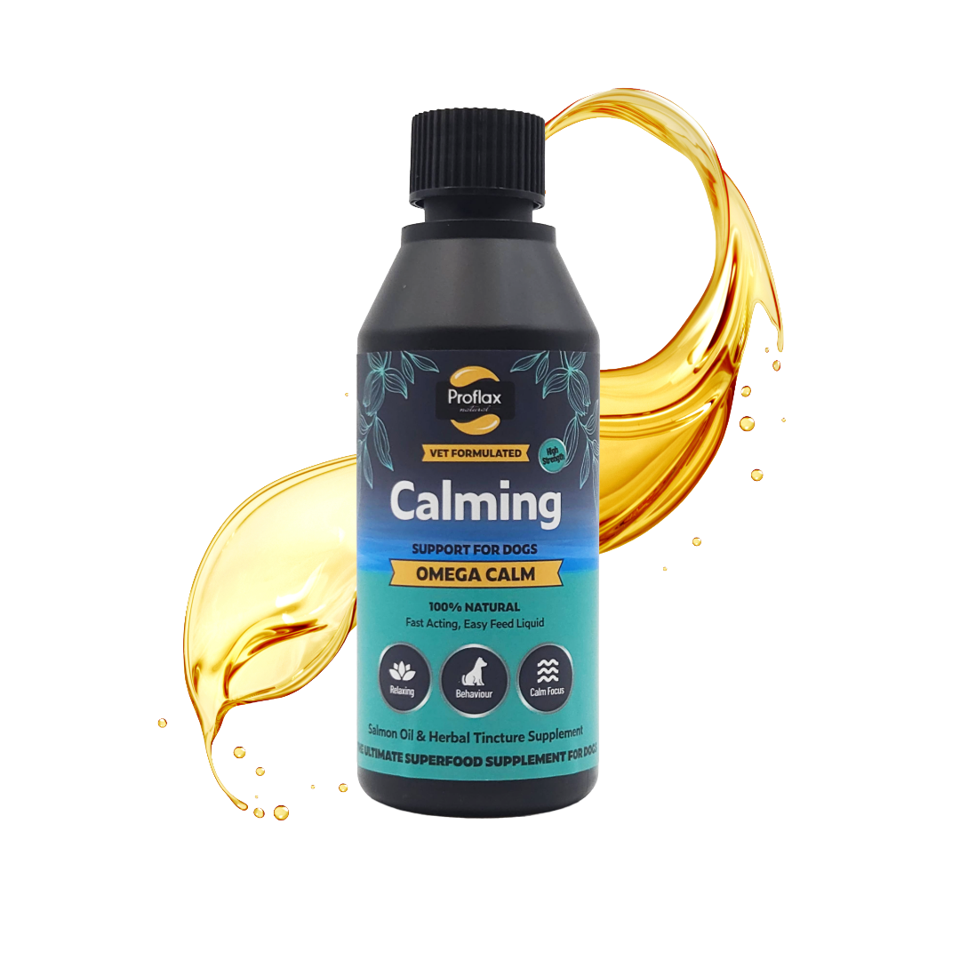 Calming Salmon Oil for Highly Anxious Dogs - Omega Calm