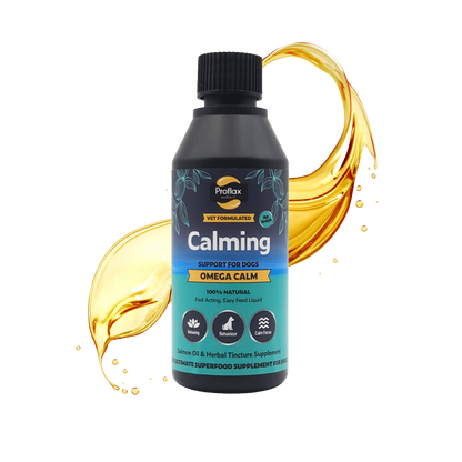 Calming Salmon Oil for Highly Anxious Dogs - Omega Calm
