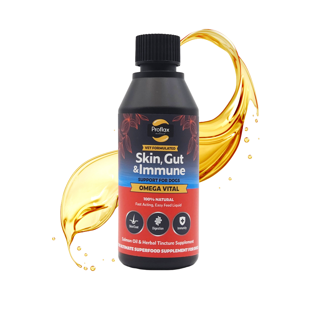 Salmon Oil for Skin & Gut Health - Omega Vital