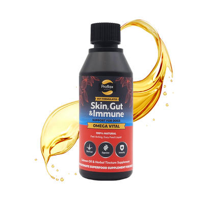 Salmon Oil for Skin & Gut Health - Omega Vital