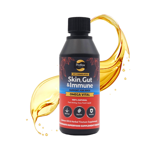 Salmon Oil for Skin & Gut Health - Omega Vital