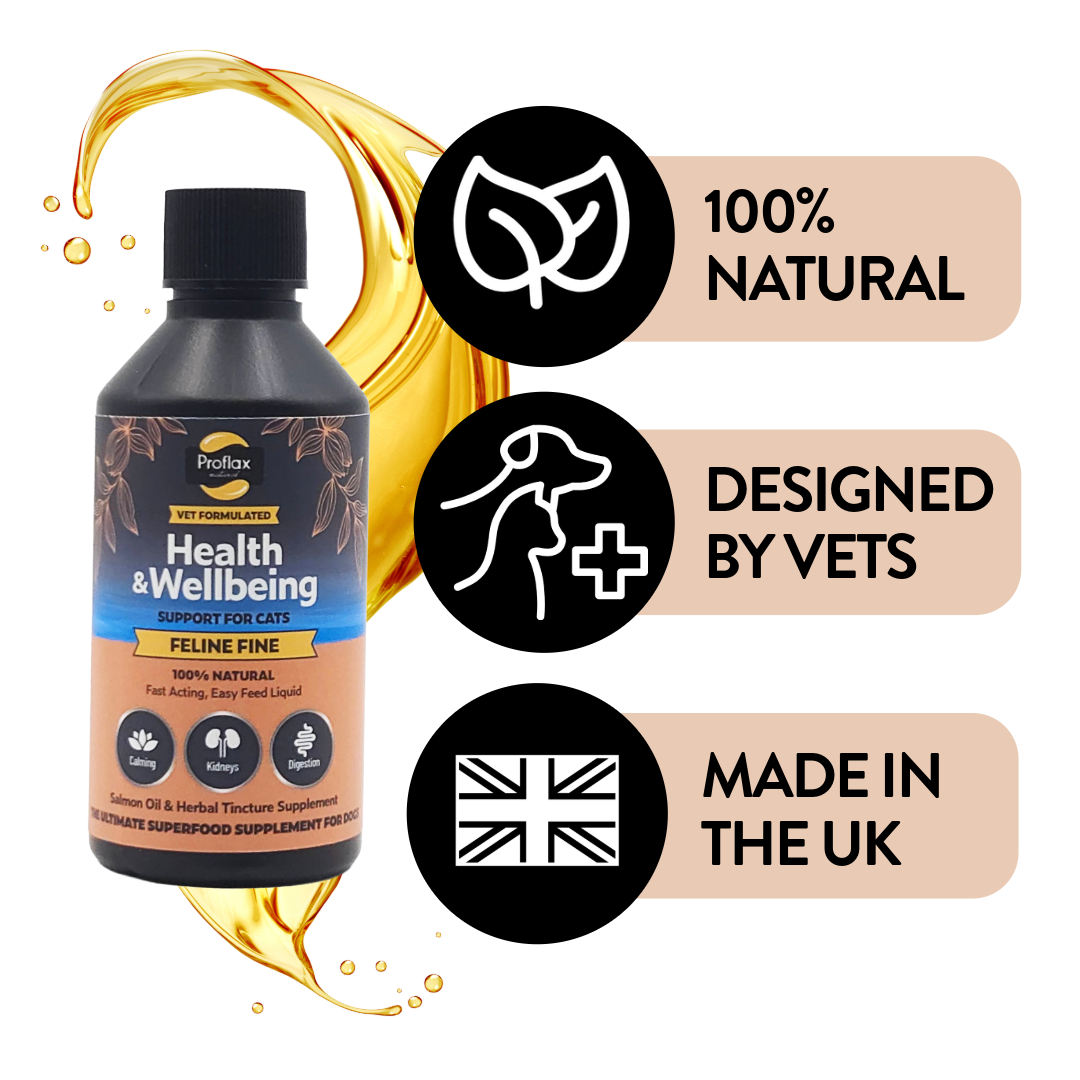 Salmon Oil Supplement for Cats - Feline Fine