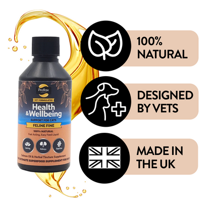 Salmon Oil Supplement for Cats - Feline Fine