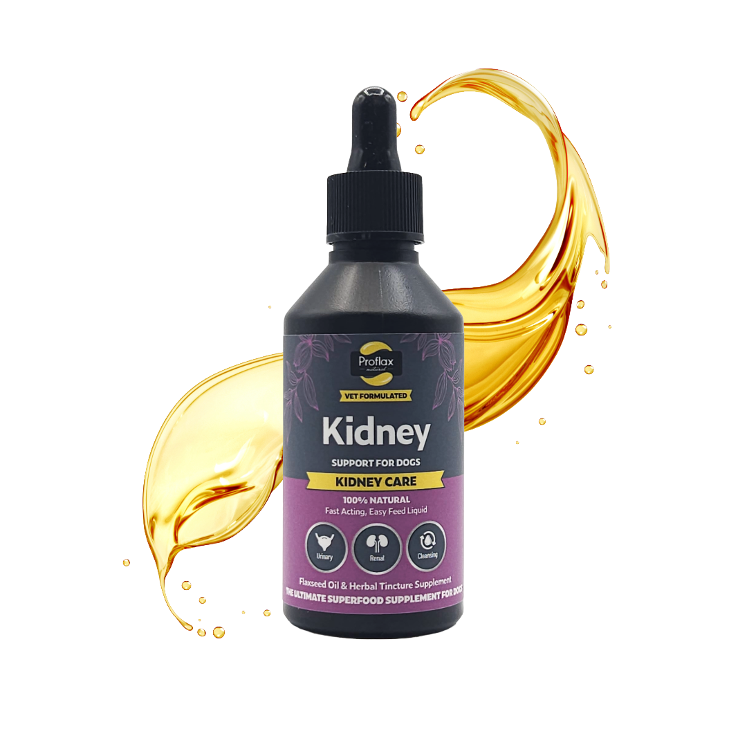 Kidney & Urinary Support for Dogs - Kidney Care - Proflax
