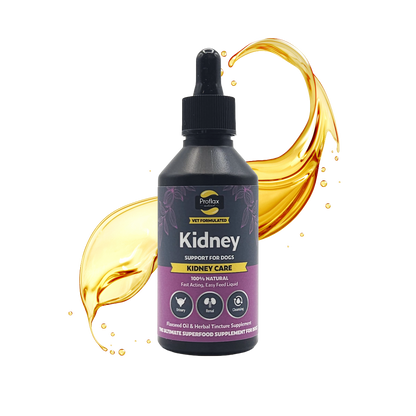Kidney & Urinary Support for Dogs - Kidney Care - Proflax