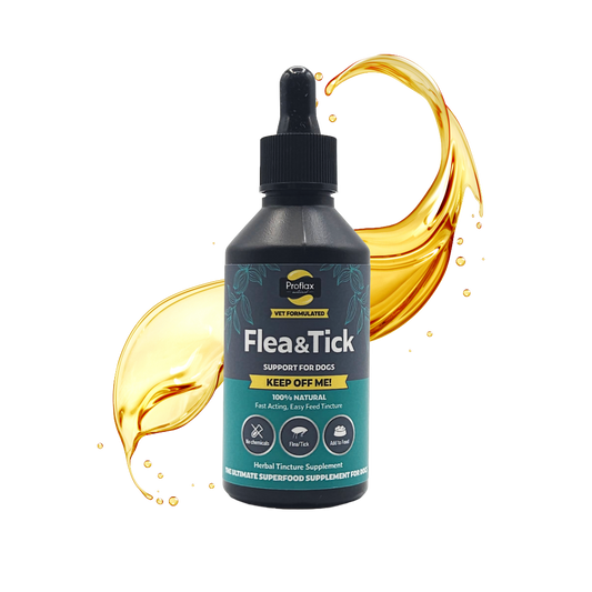 Natural Flea & Tick Defence for Dogs - Keep Off Me! Tincture