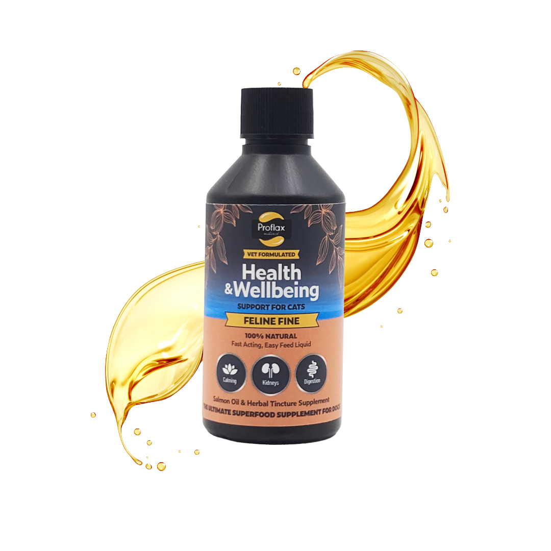 Salmon Oil Supplement for Cats - Feline Fine