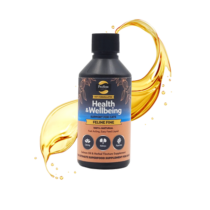 Salmon Oil Supplement for Cats - Feline Fine