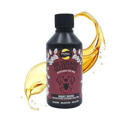 Hormone Balance for Male Dogs - Horny Hound - Proflax