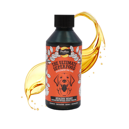 Heart & Circulation Support for Dogs - Healthy Heart - Proflax