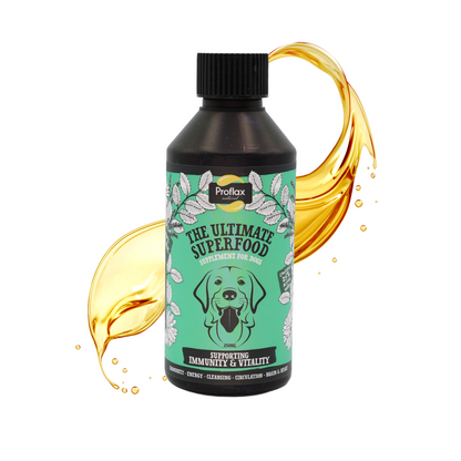 Immune & Energy Support for Dogs - Proflax