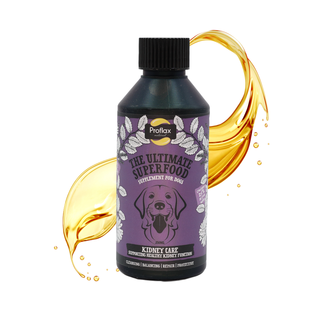 Kidney & Urinary Support for Dogs - Kidney Care - Proflax