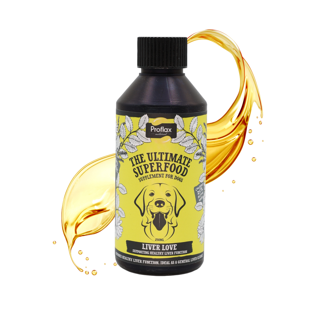 Liver & Cleansing Support for Dogs - Liver Love - Proflax