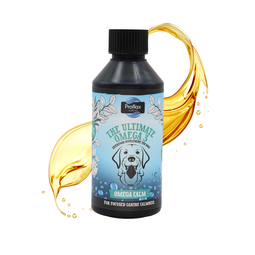 Calming Salmon Oil for Highly Anxious Dogs - Omega Calm