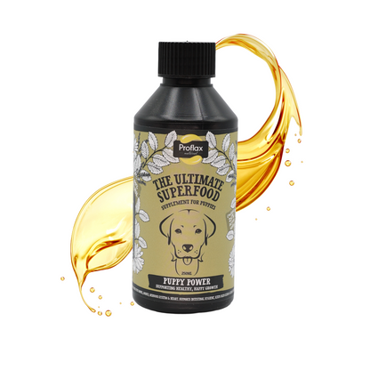 Puppy Digestion & Growth Support - Puppy Power