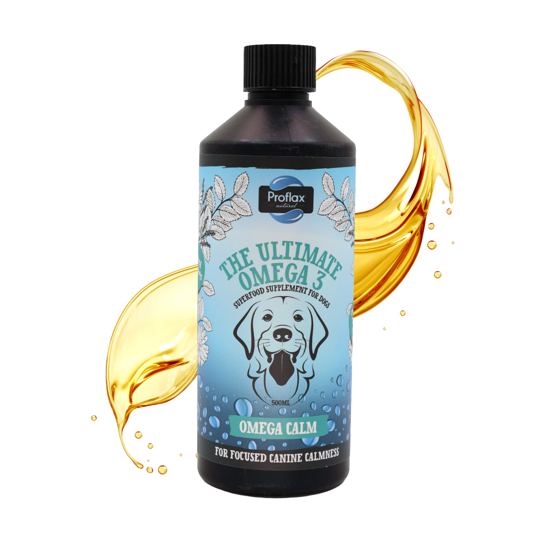 Calming Salmon Oil for Highly Anxious Dogs - Omega Calm