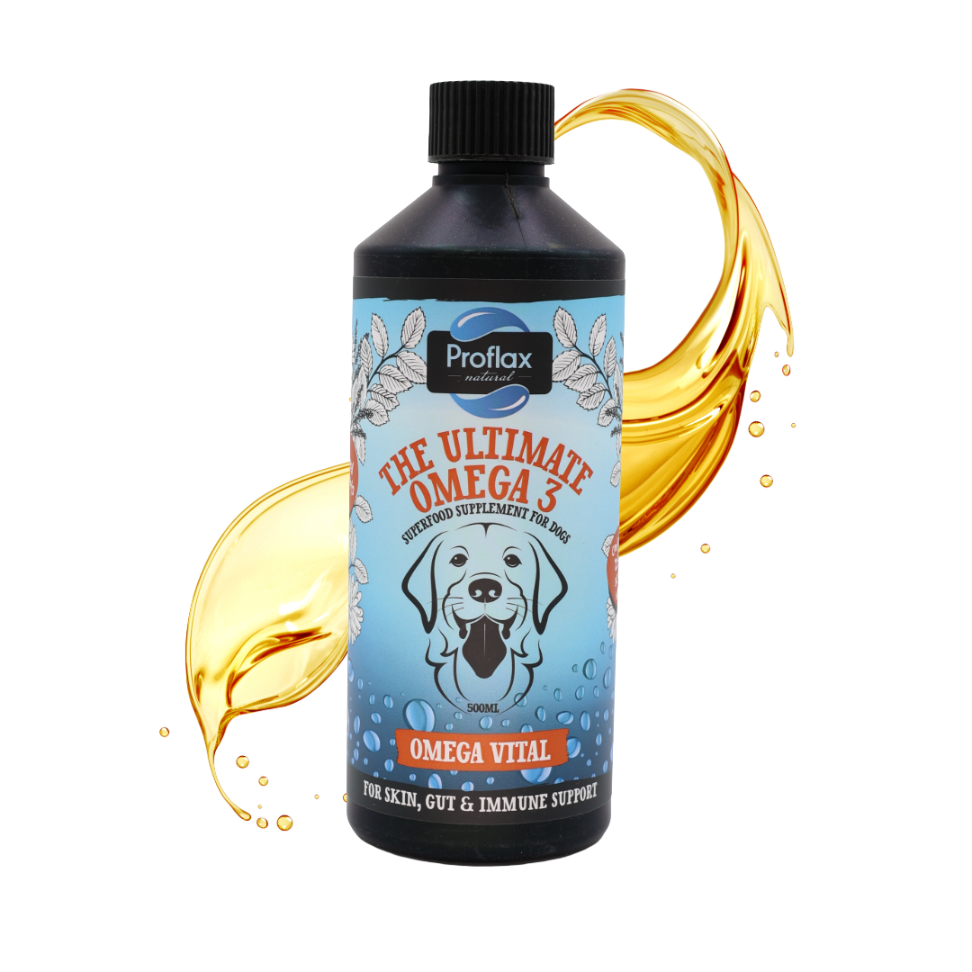 Salmon Oil for Skin & Gut Health - Omega Vital - Proflax