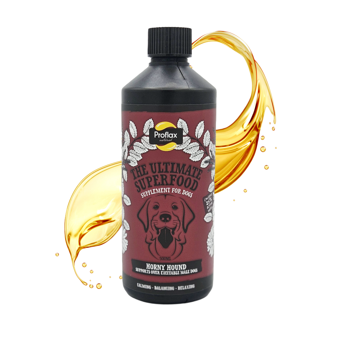 Hormone Balance for Male Dogs - Horny Hound - Proflax