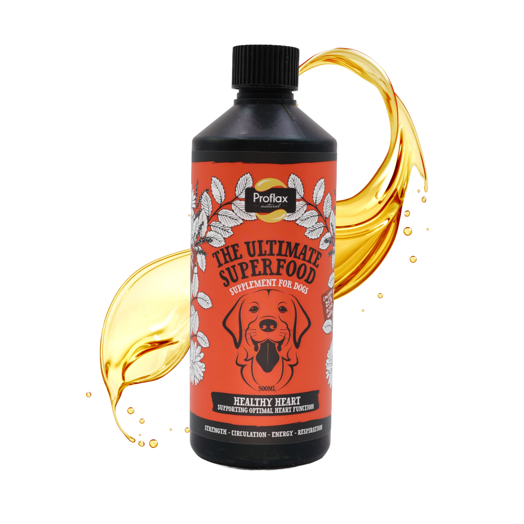 Heart & Circulation Support for Dogs - Healthy Heart - Proflax