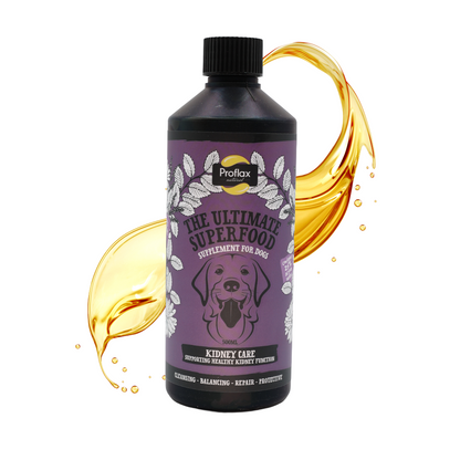 Kidney & Urinary Support for Dogs - Kidney Care - Proflax