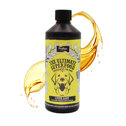 Liver & Cleansing Support for Dogs - Liver Love - Proflax