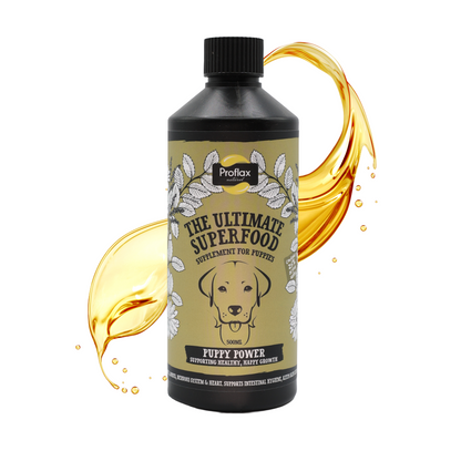 Puppy Digestion & Growth Support - Puppy Power