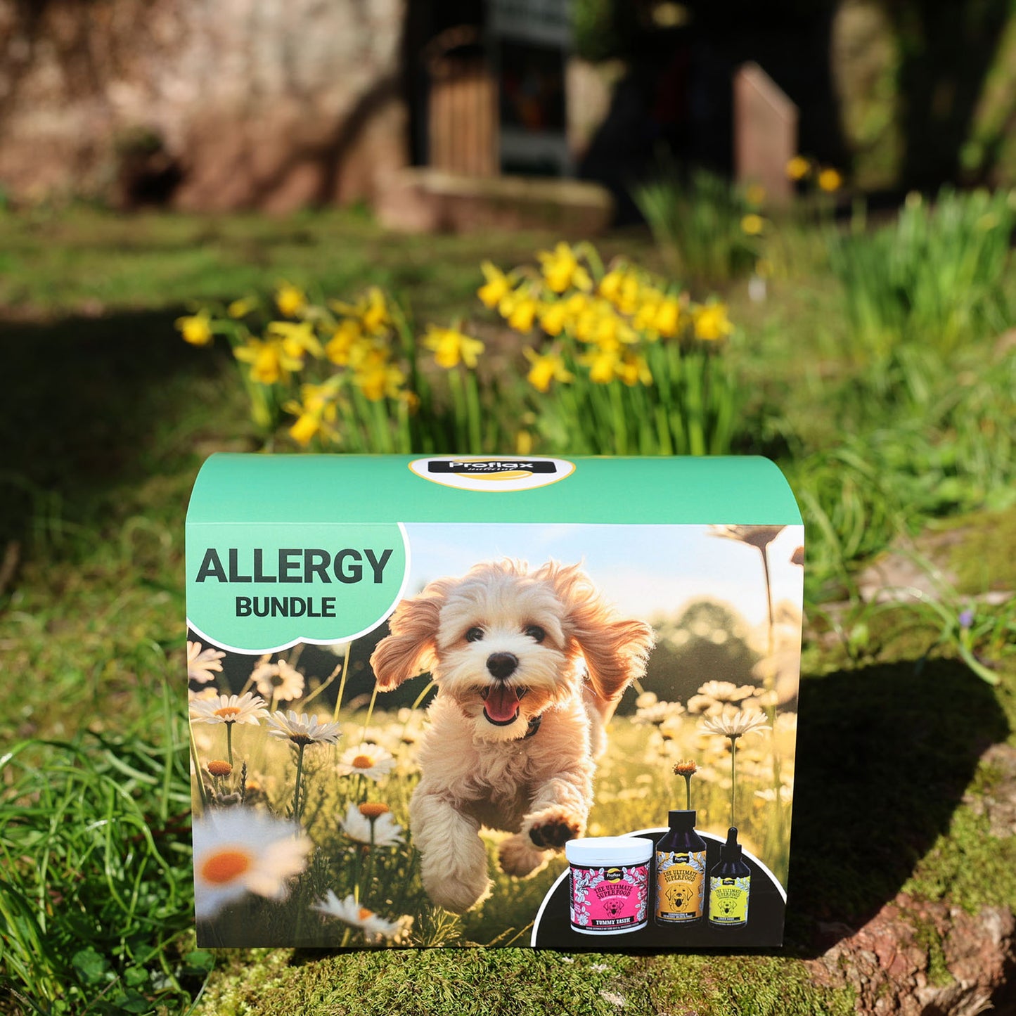 Targeted Wellness Bundle - Allergy (Premium)
