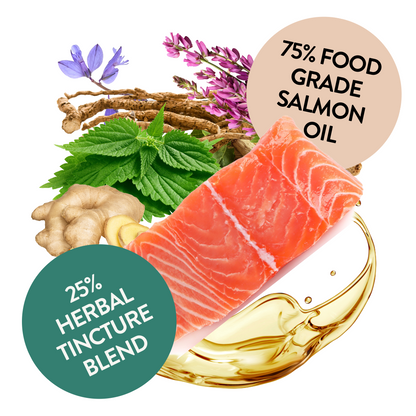 Salmon Oil for Joint & Mobility Support - Omega Bounce