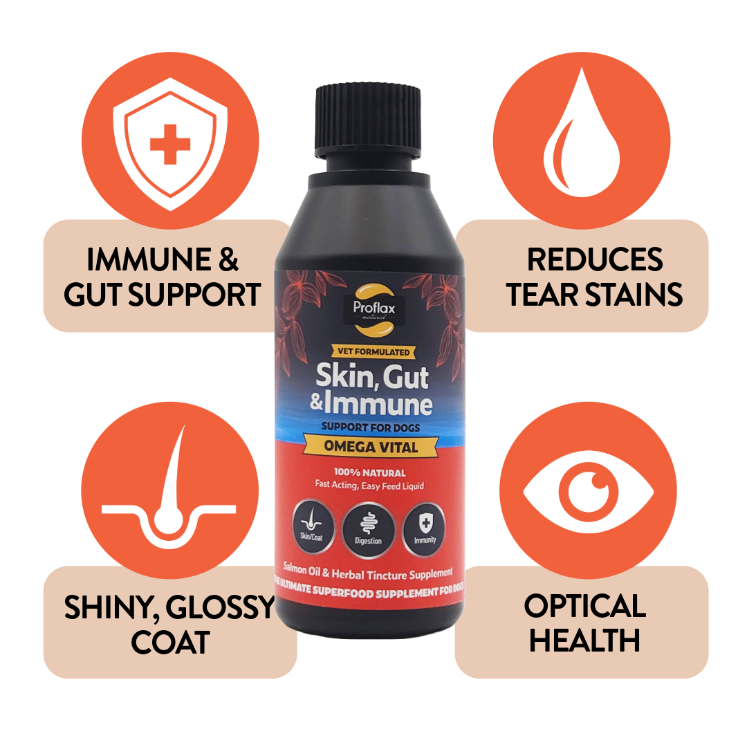Salmon Oil for Skin & Gut Health - Omega Vital