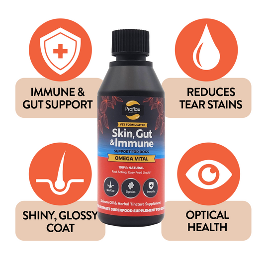 Salmon Oil for Skin & Gut Health - Omega Vital
