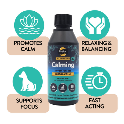 Calming Salmon Oil for Highly Anxious Dogs - Omega Calm