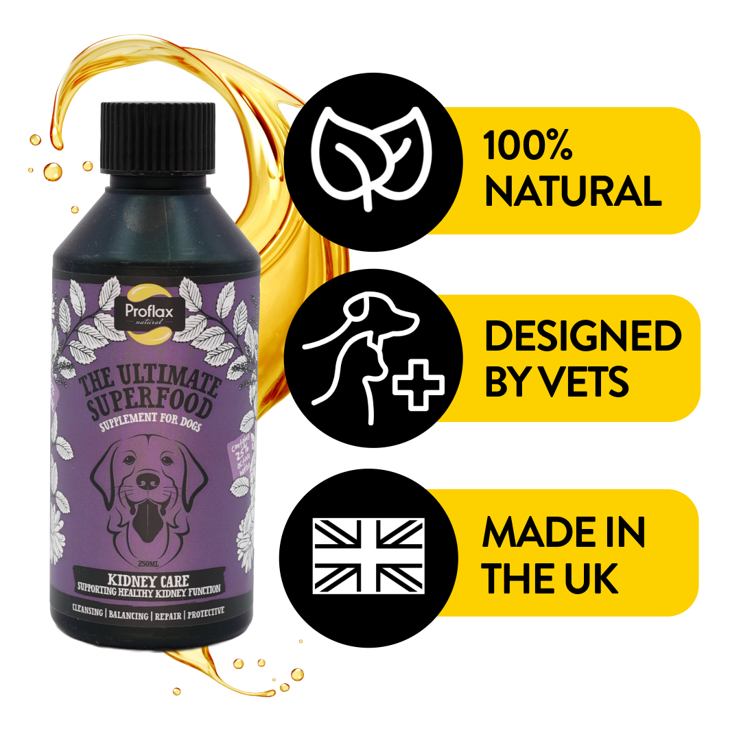 Kidney & Urinary Support for Dogs - Kidney Care - Proflax