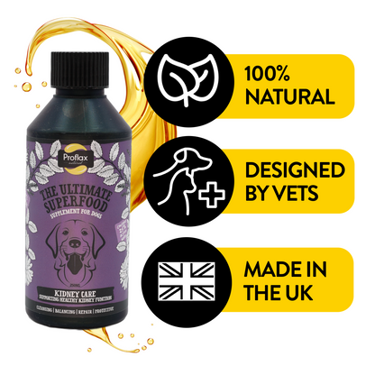 Kidney & Urinary Support for Dogs - Kidney Care - Proflax