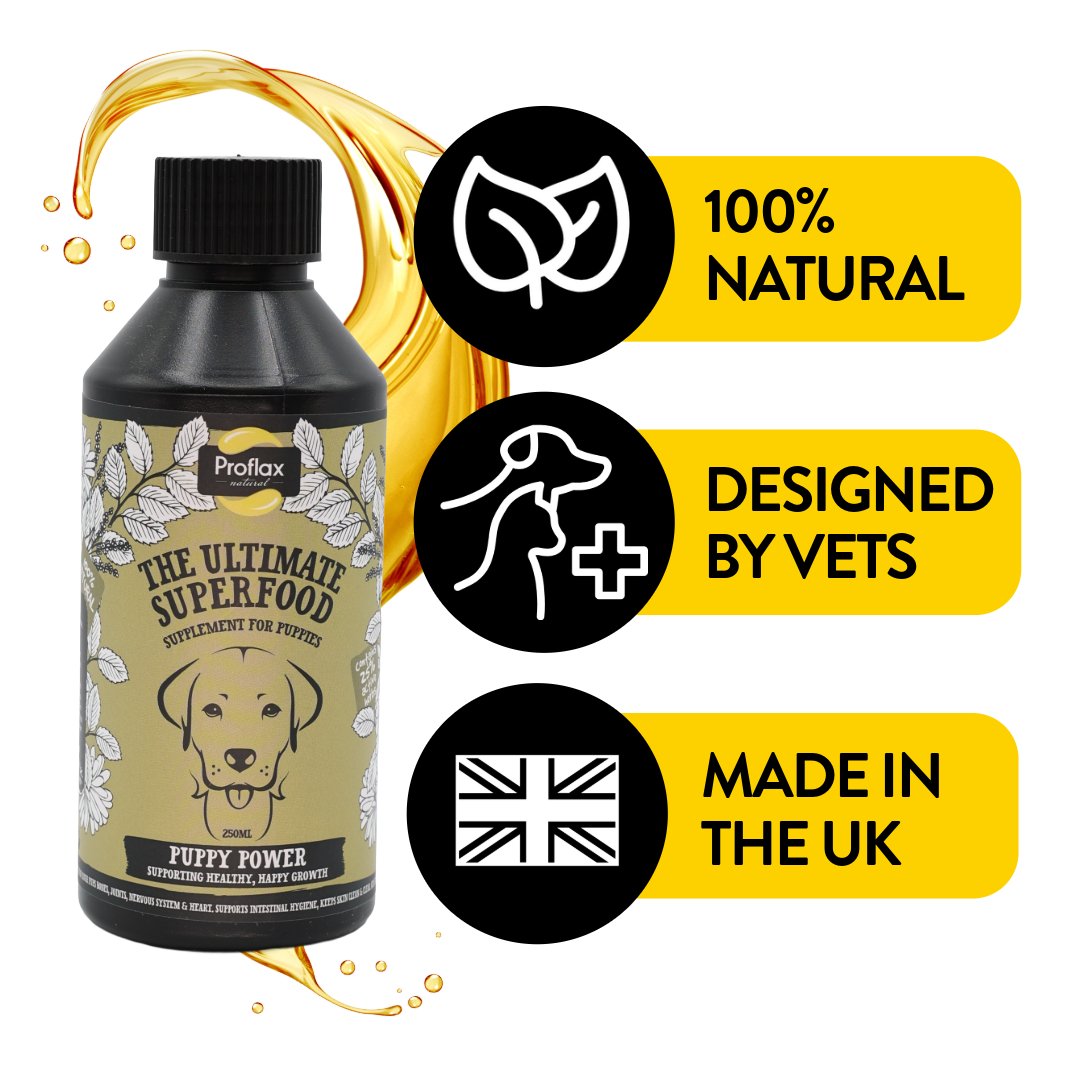 Puppy Digestion & Growth Support - Puppy Power