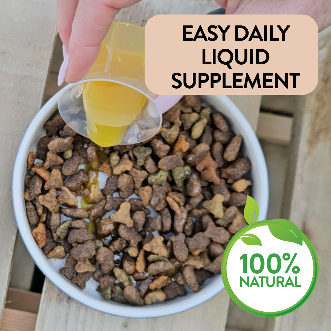 Salmon Oil Supplement for Cats - Feline Fine
