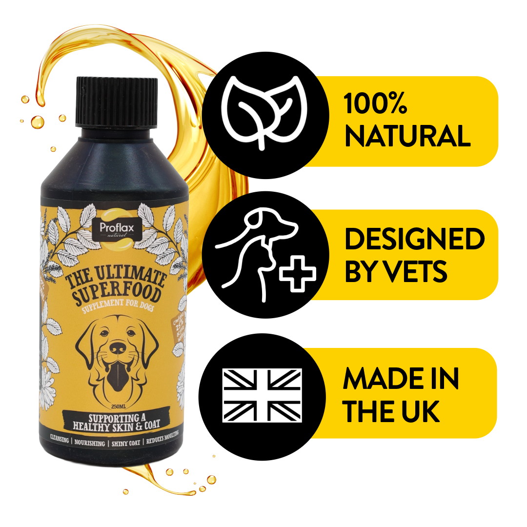 Skin & Coat Support for Dogs