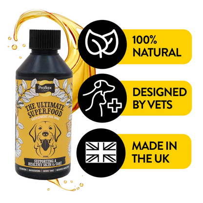 Skin & Coat Support for Dogs