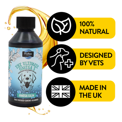 Calming Salmon Oil for Highly Anxious Dogs - Omega Calm