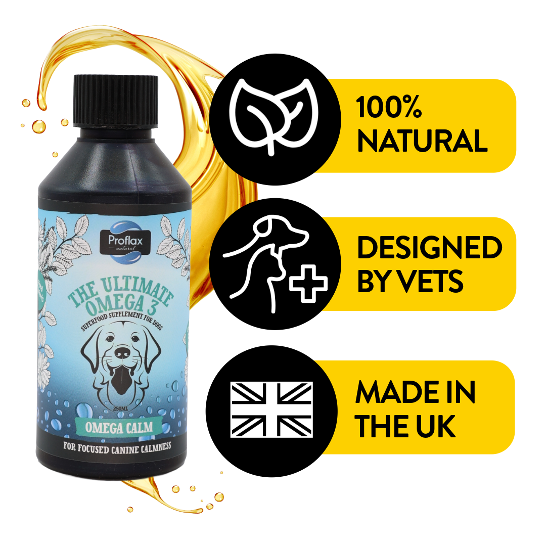 Calming Salmon Oil for Highly Anxious Dogs - Omega Calm - Proflax