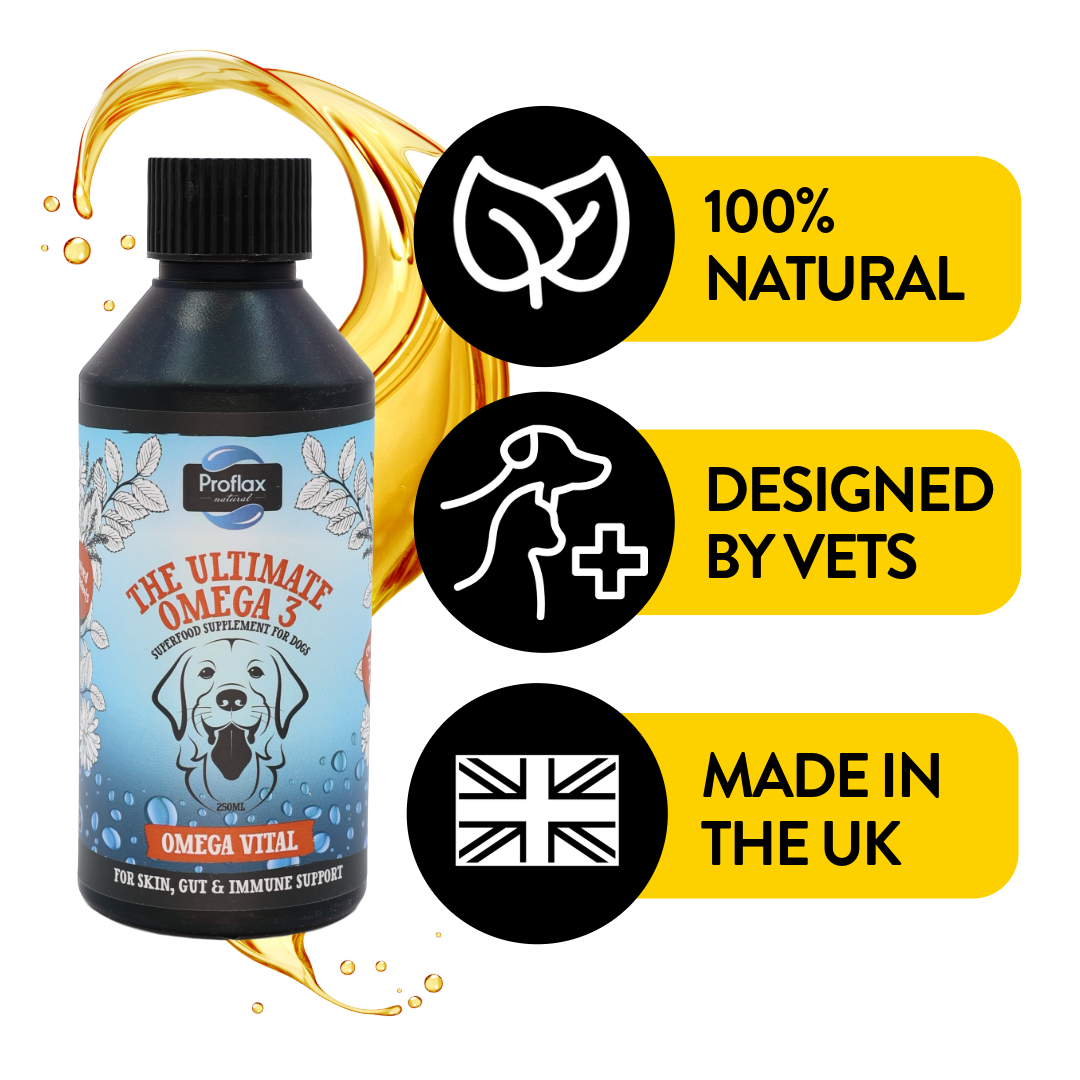 Salmon Oil for Skin & Gut Health - Omega Vital - Proflax