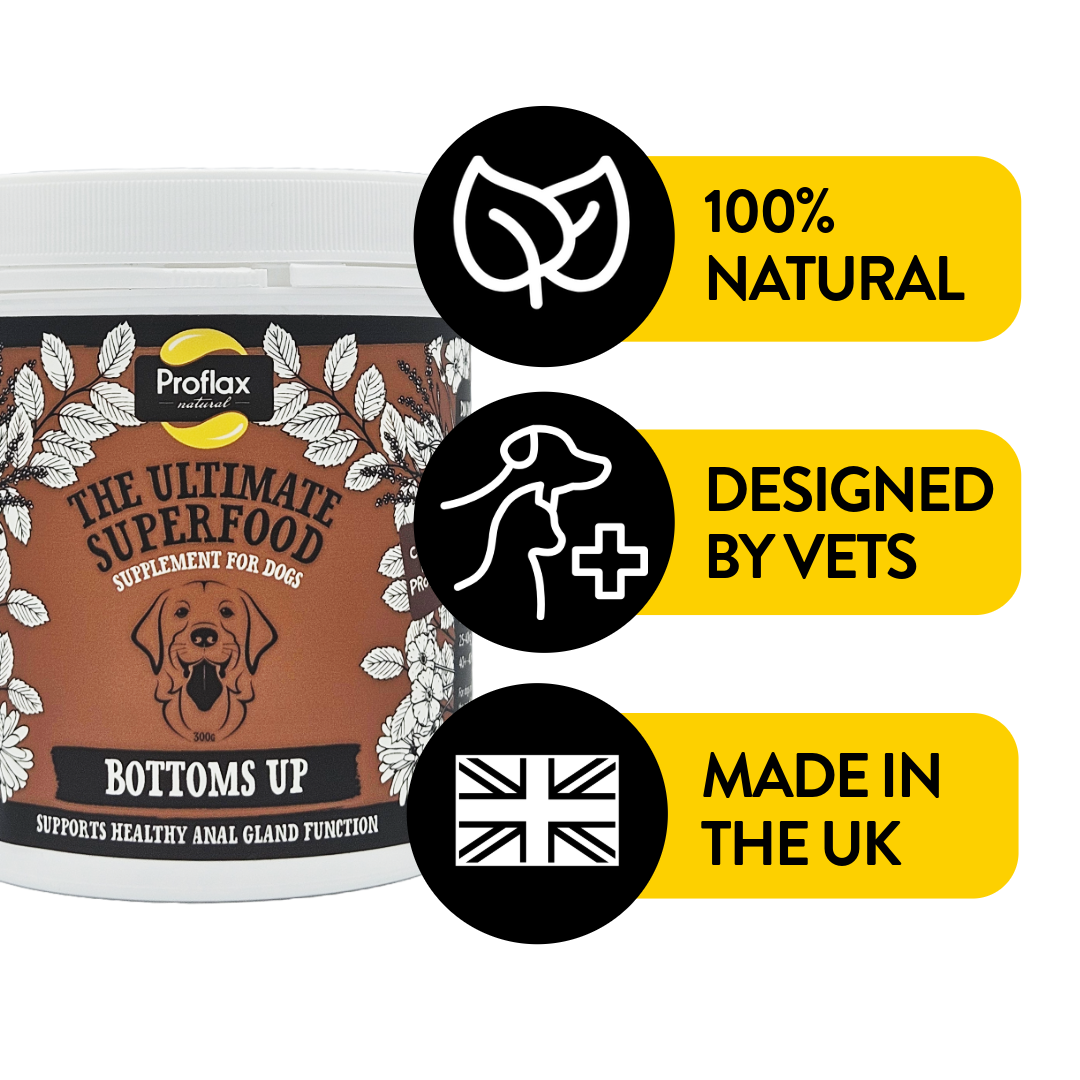 Anal Gland Support for Dogs - Bottoms Up - Proflax